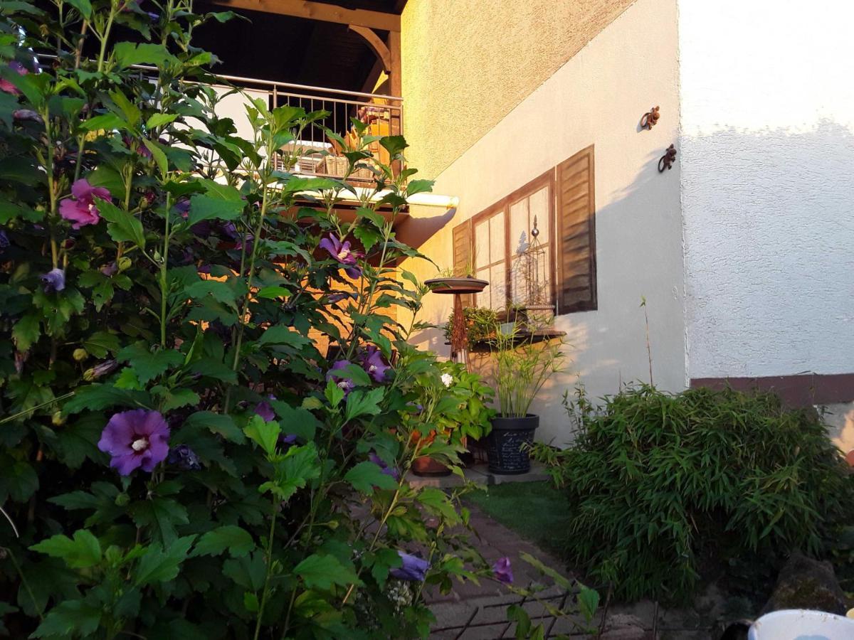 Appartamento Haus Sonnenblick Momlingen Esterno foto